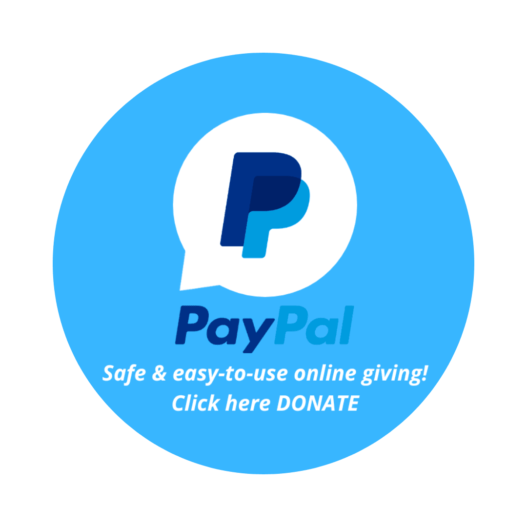 online paypal icon